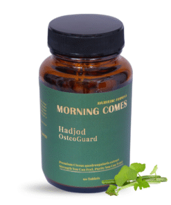 Morning Comes Hadjod