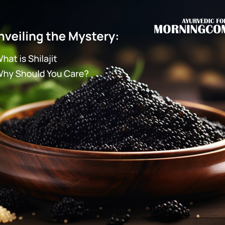 morningcomes_shilajit_usefulinimprovingstaminaandstrength